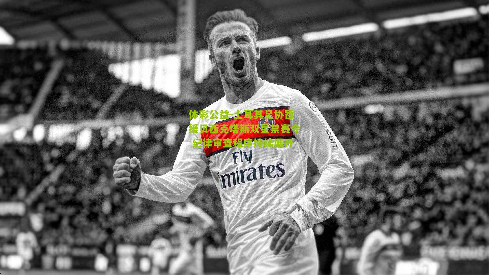 土耳其足协暂缓贝西克塔斯双星禁赛令 纪律审查程序持续展开