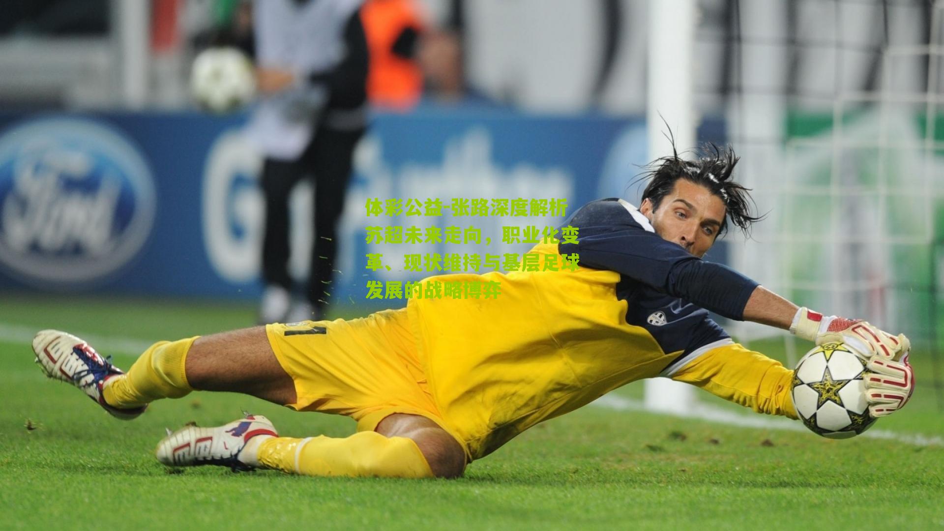 张路深度解析苏超未来走向，职业化变革、现状维持与基层足球发展的战略博弈