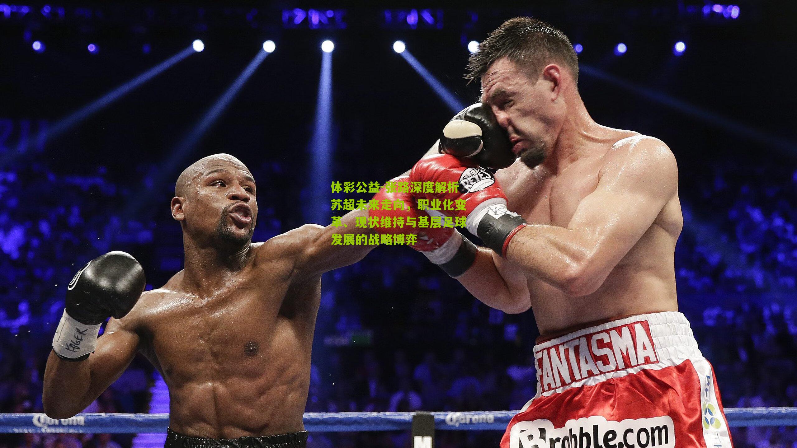 张路深度解析苏超未来走向，职业化变革、现状维持与基层足球发展的战略博弈